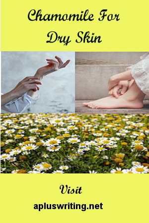 Chamomile plants with soft hands and soft feet
