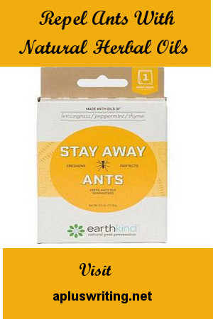 A box with stay away ants written on it
