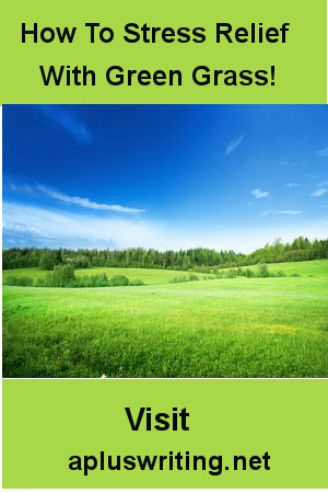 An expanse of green field with blue sky and white clouds