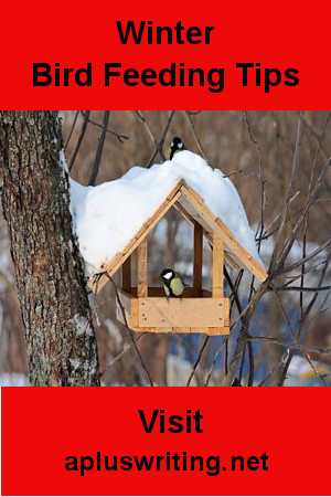 Titmice standing on a birdfeeder which has snow on roof.