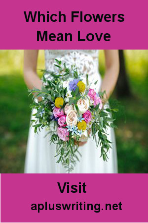 Bride holding bouquet of various colored flowers