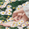 Feet and hands surrounded by chamomile flowers on grass