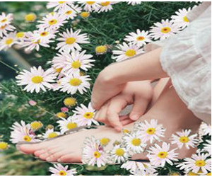Feet and hands surrounded by chamomile flowers on grass