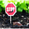 Slug stopped from entering lettuce bed with stop sign