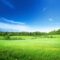 An expanse of green field with blue sky and white clouds