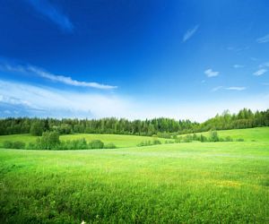 How To Stress Relief With Green Grass