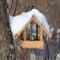 Titmice standing on a birdfeeder which has snow on roof.