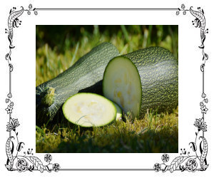 A large zucchini cut laying on grass.