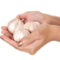 A woman's hand holding 3 bulbs of garlic