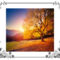 A fall colored tree on hillside with beautiful sunset.