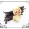 Vanilla beans with a flower on top
