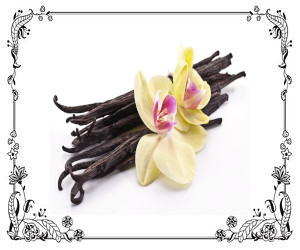 Vanilla For Weight Loss