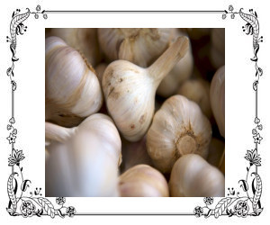 What Helps Garlic Breath
