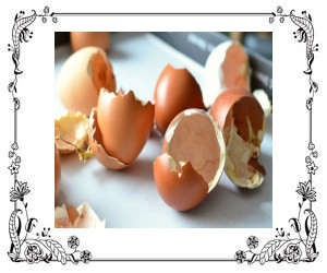 Broken egg shells lying on table