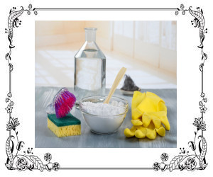Borax with bottle of vinegar, brushes, and rubber gloves.