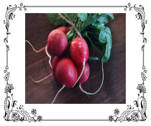 Fun Facts About Radishes