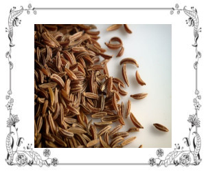 A pile of caraway seeds