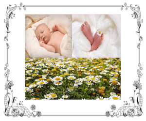 A baby, baby's feet, and a field of chamomile