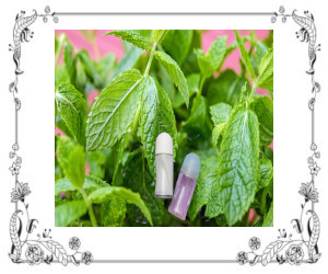 A bottle of deodorant and antiperspirant in front of mint plants.