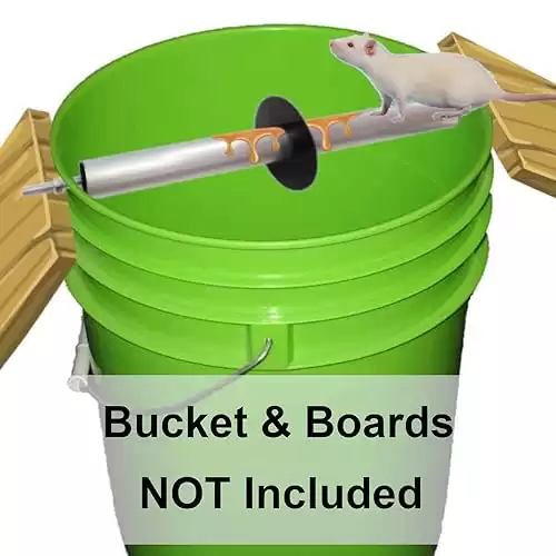 Mouse Trap, Live Catch and Release Bucket Spin Roller with an Original Ring for Mice Rats Rodents. Humane. Auto Rolling Reset. Safe for Children and Pets Works Outdoors and Indoors